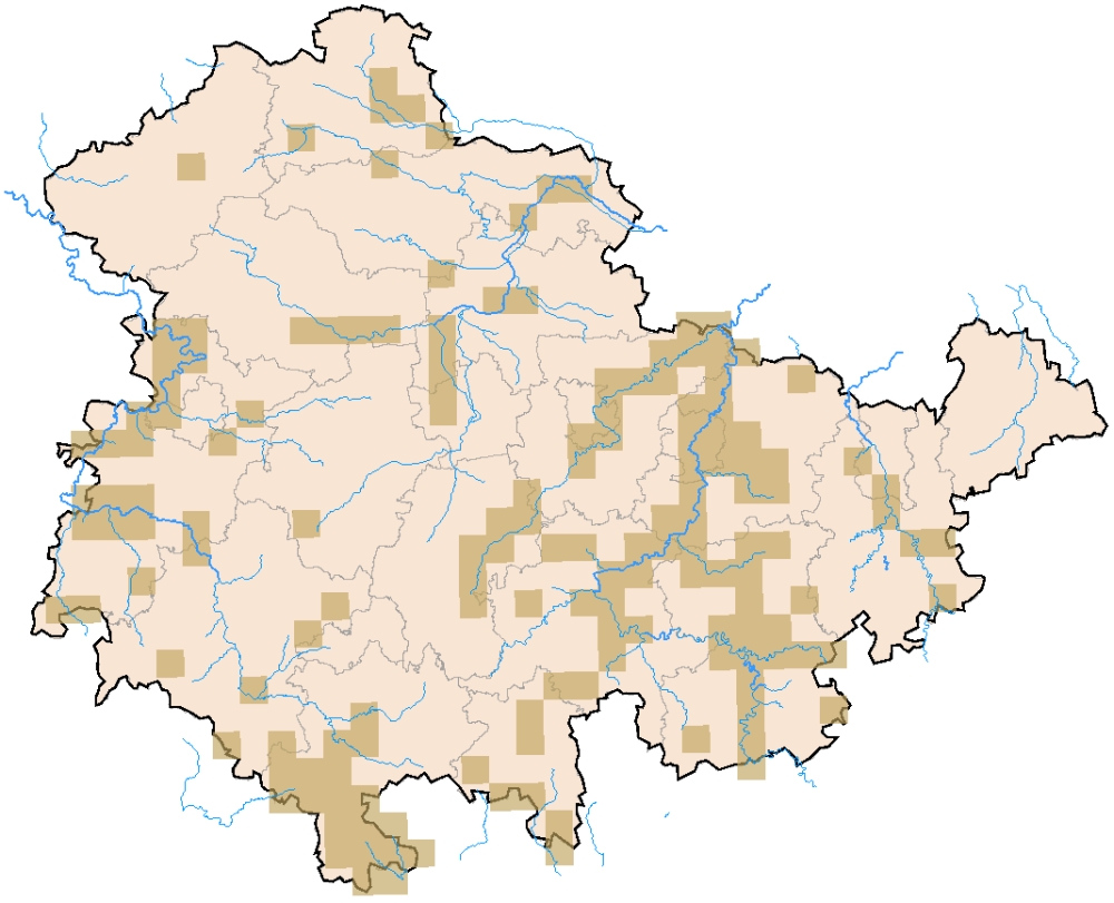 Verbreitung in Thüringen ab 1990