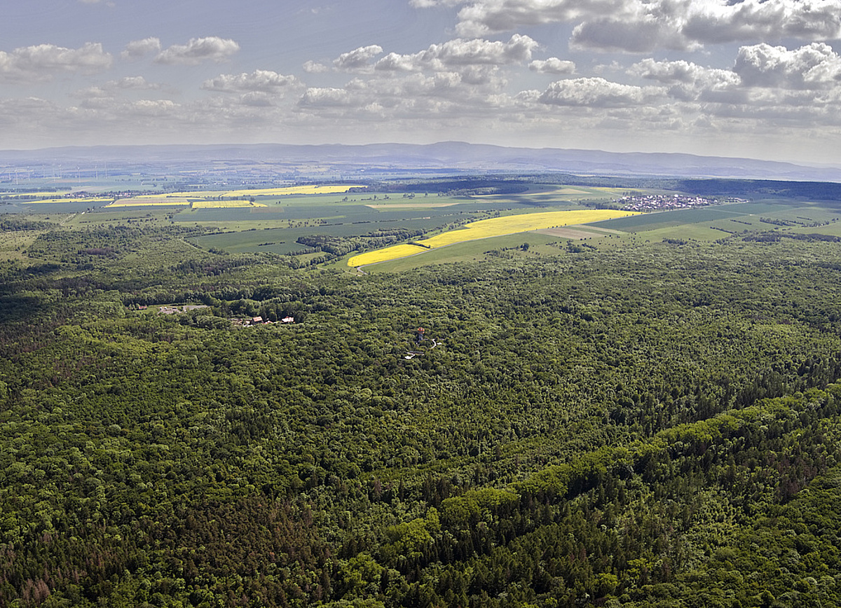 Nationalpark Hainich