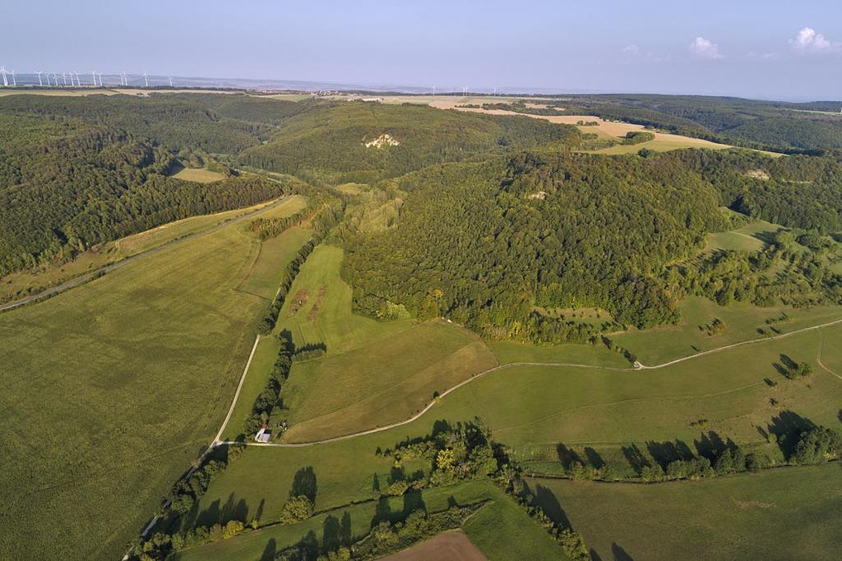 LSG "Obereichsfeld": Blick von Südwesten auf die Muschelkalkhänge nördlich und nordwestlich Faulungen mit dem NSG "Klosterschranne - Faulunger Stein"
