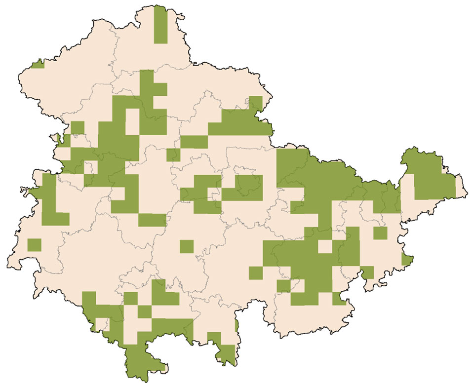 Verbreitung in Thüringen ab 1990