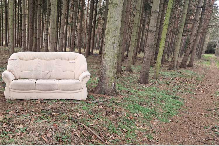 Ein illegal entsorgtes Sofa steht im Wald.