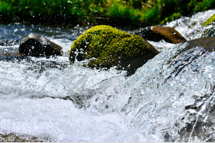 Gebirgsbach mit sprudelndem Wasser und Steinen